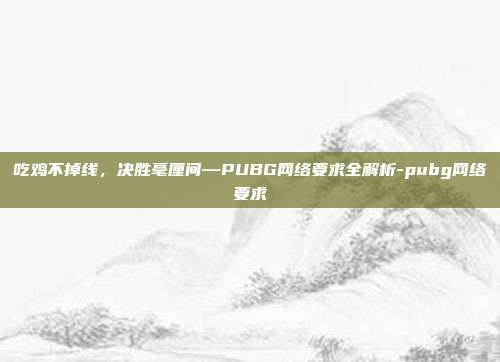 吃鸡不掉线,决胜毫厘间—PUBG网络要求全解析-pubg网络要求