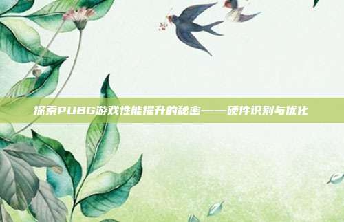 探索PUBG游戏性能提升的秘密——硬件识别与优化