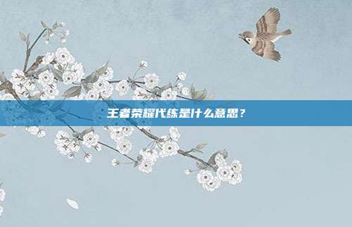 王者荣耀代练是什么意思?