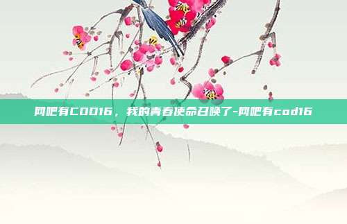 网吧有COD16,我的青春使命召唤了-网吧有cod16