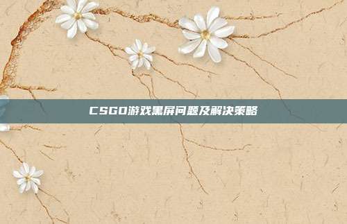 CSGO游戏黑屏问题及解决策略