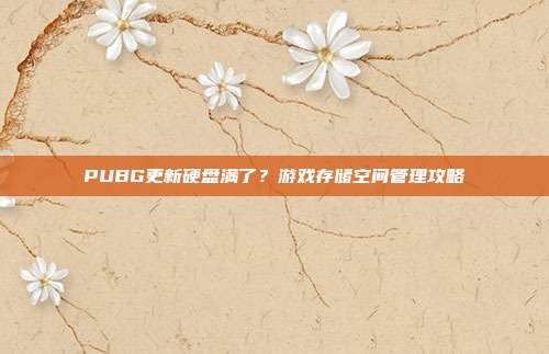 PUBG更新硬盘满了？游戏存储空间管理攻略