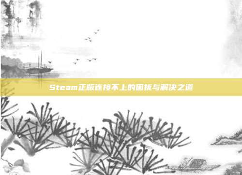 Steam正版连接不上的困扰与解决之道