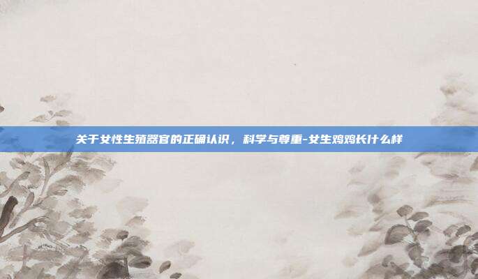 关于女性生殖器官的正确认识，科学与尊重-女生鸡鸡长什么样