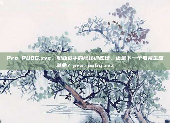 Pro PUBG.xvz,职业选手的隐秘训练场,还是下一个电竞生态革命?pro pubg.xvz