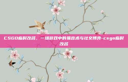CSGO临时改名,一场游戏中的易容术与社交博弈-csgo临时改名