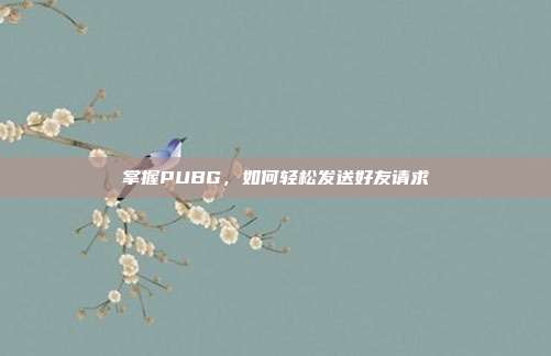 掌握PUBG,如何轻松发送好友请求