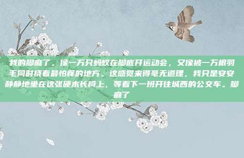 我的脚麻了。像一万只蚂蚁在脚底开运动会，又像被一万根羽毛同时挠着最怕痒的地方。这感觉来得毫无道理，我只是安安静静地坐在这张硬木长椅上，等着下一班开往城西的公交车。脚麻了