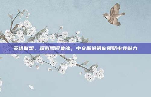 英雄联盟,精彩瞬间集锦,中文解说带你领略电竞魅力