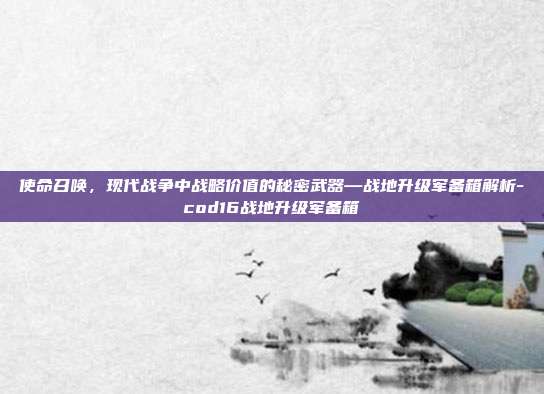 使命召唤，现代战争中战略价值的秘密武器—战地升级军备箱解析-cod16战地升级军备箱