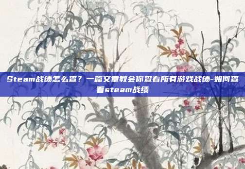 Steam战绩怎么查?一篇文章教会你查看所有游戏战绩-如何查看steam战绩