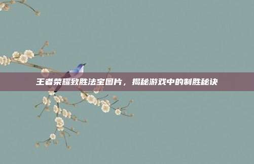 王者荣耀致胜法宝图片,揭秘游戏中的制胜秘诀