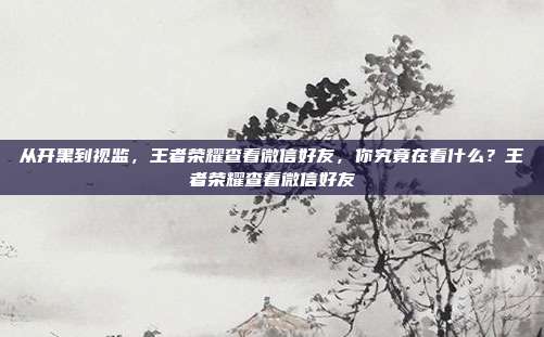 从开黑到视监,王者荣耀查看微信好友,你究竟在看什么?王者荣耀查看微信好友