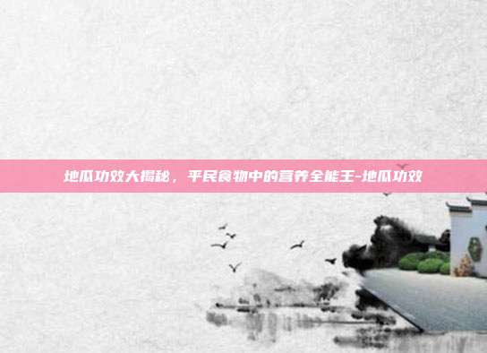 地瓜功效大揭秘，平民食物中的营养全能王-地瓜功效