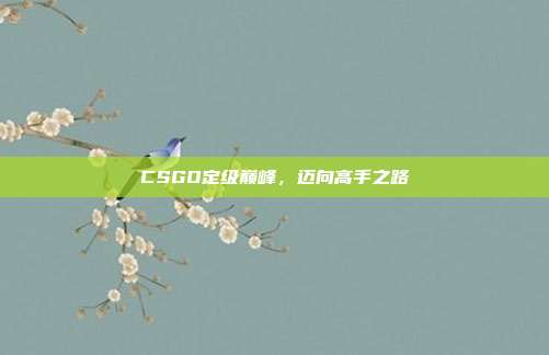 CSGO定级巅峰,迈向高手之路