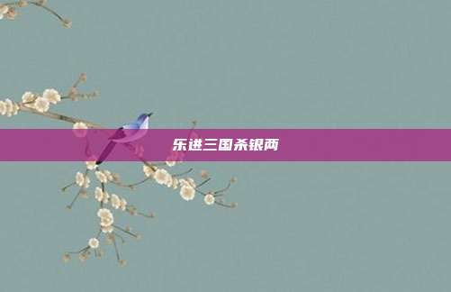 乐进三国杀银两