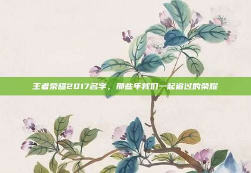王者荣耀2017名字，那些年我们一起追过的荣耀