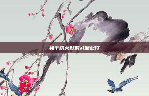 和平精英好的武器配件