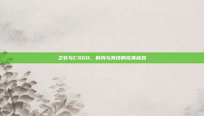卫衣与CSGO,时尚与竞技的完美结合