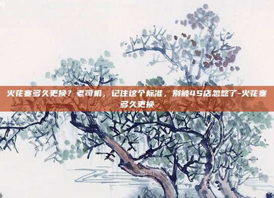 火花塞多久更换?老司机,记住这个标准,别被4S店忽悠了-火花塞多久更换