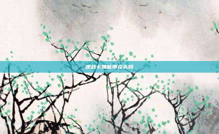 逆战卡珊能带龙头吗
