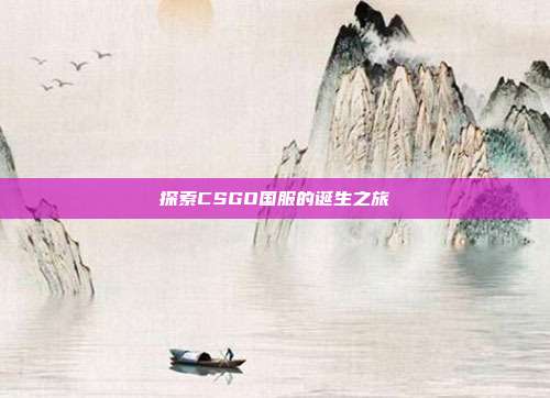 探索CSGO国服的诞生之旅