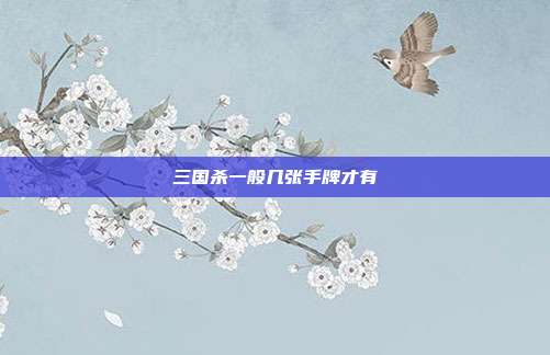 三国杀一般几张手牌才有