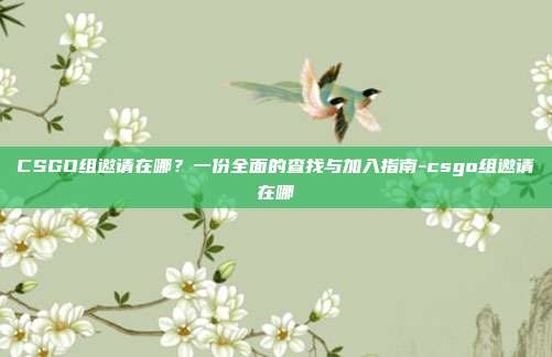 CSGO组邀请在哪？一份全面的查找与加入指南-csgo组邀请在哪