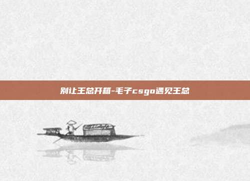 别让王总开箱-毛子csgo遇见王总