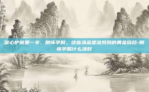 暖心护航第一关,刚怀孕时,这些汤品是准妈妈的黄金搭档-刚怀孕喝什么汤好