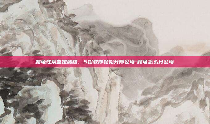 鳄龟性别鉴定秘籍，5招教你轻松分辨公母-鳄龟怎么分公母