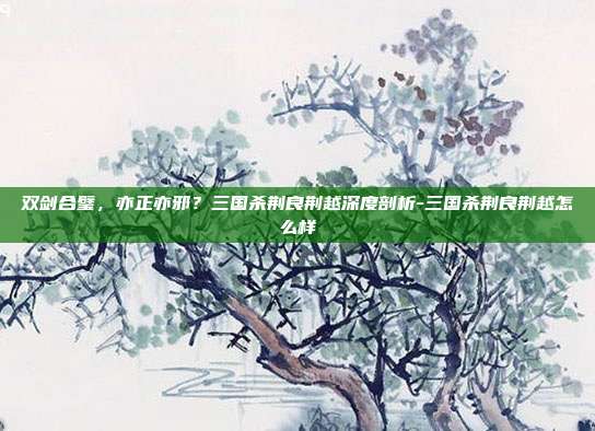 双剑合璧，亦正亦邪？三国杀荆良荆越深度剖析-三国杀荆良荆越怎么样