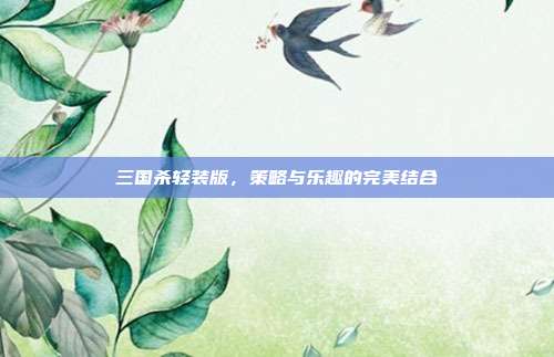 三国杀轻装版,策略与乐趣的完美结合