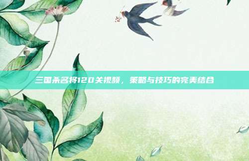 三国杀名将120关视频，策略与技巧的完美结合