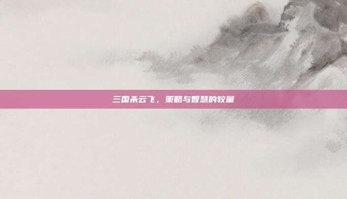 三国杀云飞，策略与智慧的较量