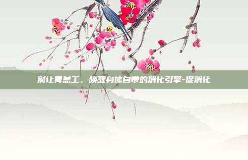别让胃怠工,唤醒身体自带的消化引擎-促消化