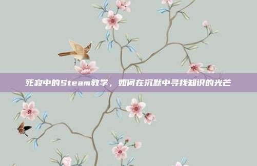 死寂中的Steam教学,如何在沉默中寻找知识的光芒