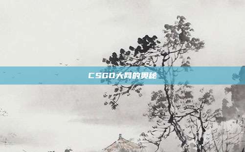 CSGO大网的奥秘