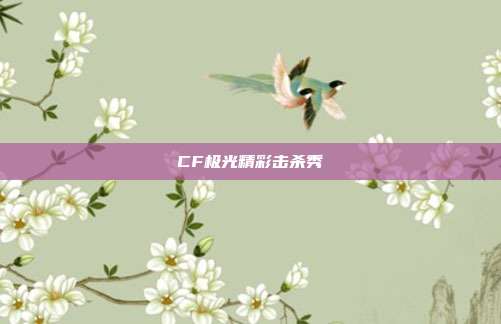 CF极光精彩击杀秀