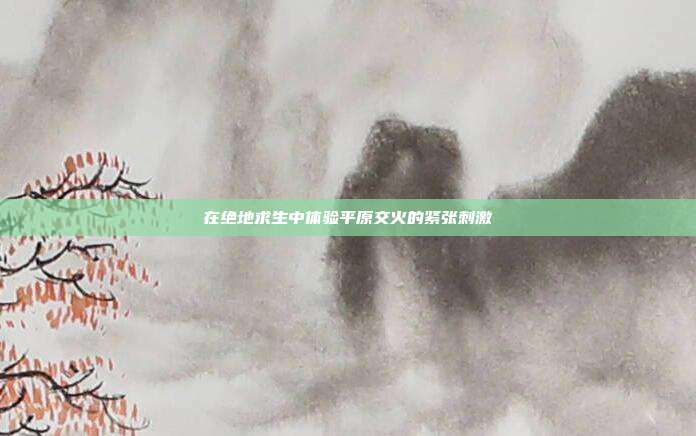 在绝地求生中体验平原交火的紧张刺激