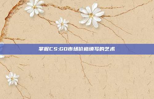 掌握CS:GO市场价格填写的艺术