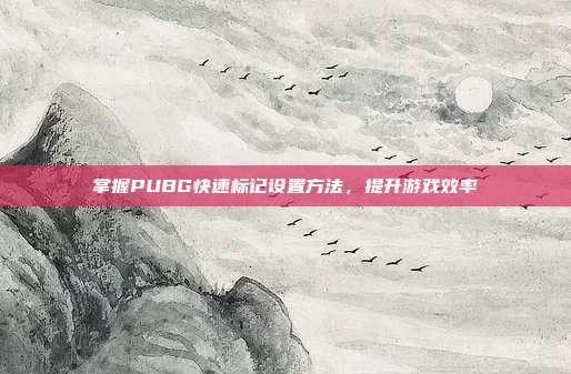 掌握PUBG快速标记设置方法,提升游戏效率