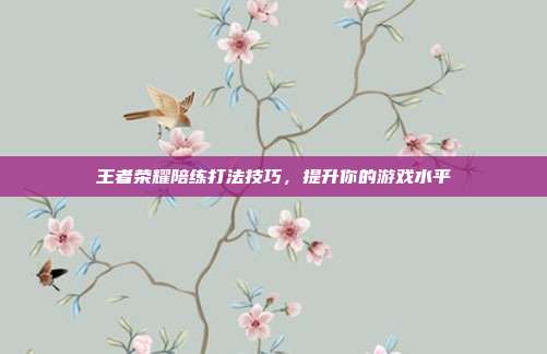 王者荣耀陪练打法技巧，提升你的游戏水平