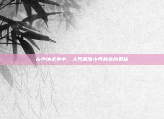 在绝地求生中,大号删除小号共享的奥秘