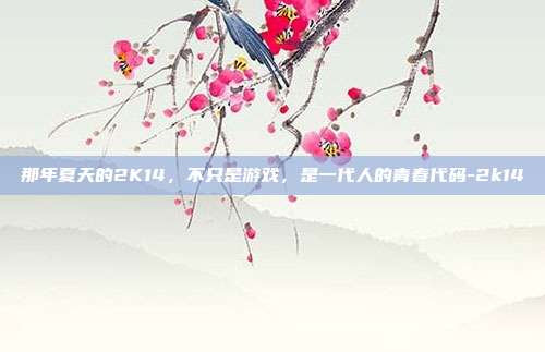 那年夏天的2K14，不只是游戏，是一代人的青春代码-2k14