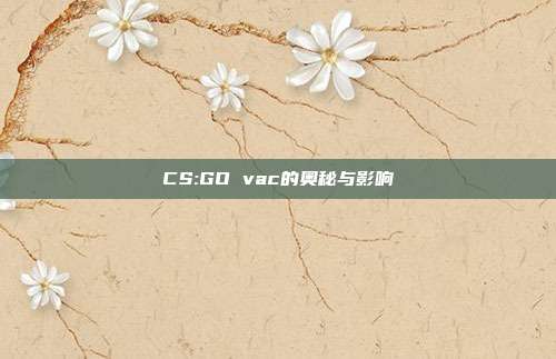 CS:GO vac的奥秘与影响