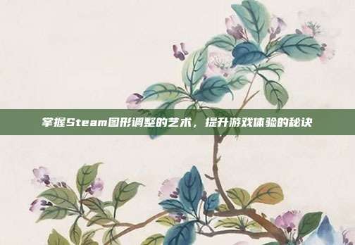 掌握Steam图形调整的艺术,提升游戏体验的秘诀