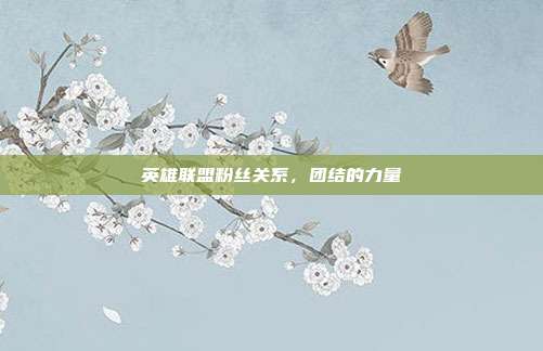 英雄联盟粉丝关系,团结的力量