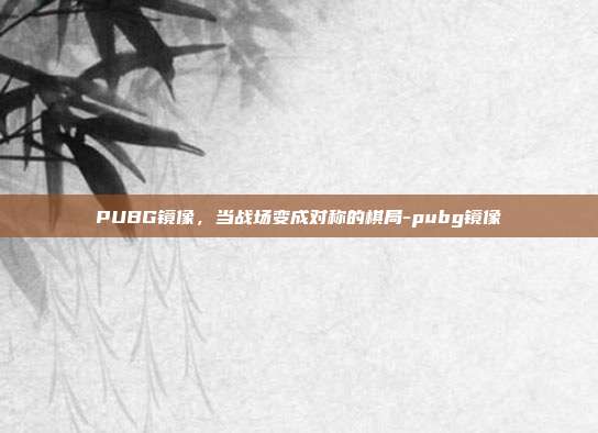 PUBG镜像,当战场变成对称的棋局-pubg镜像