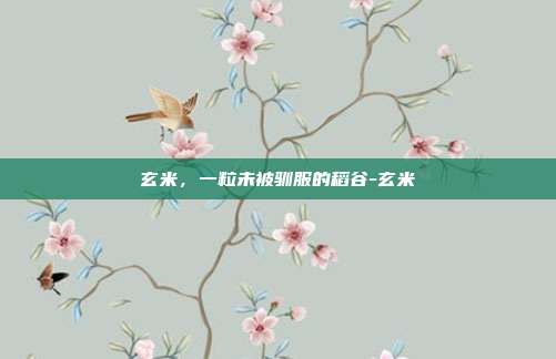 玄米,一粒未被驯服的稻谷-玄米